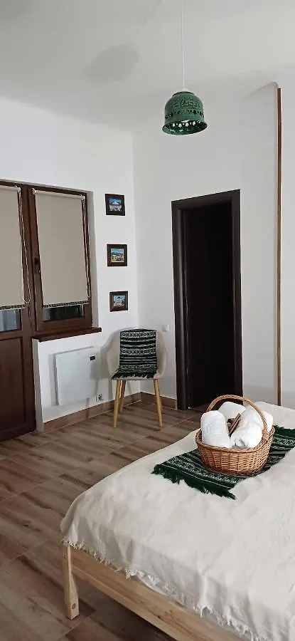 Romanian House Studio Bucureşti România